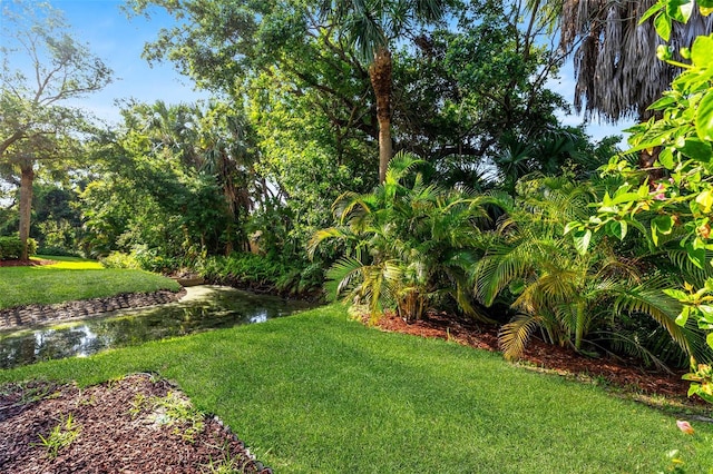 view of grassy yard
