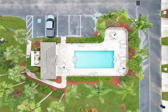 bird's eye view of a pool