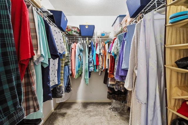 3773 E Lake Todd Dr, Hernando, FL 34442 - walk in closet with carpet flooring