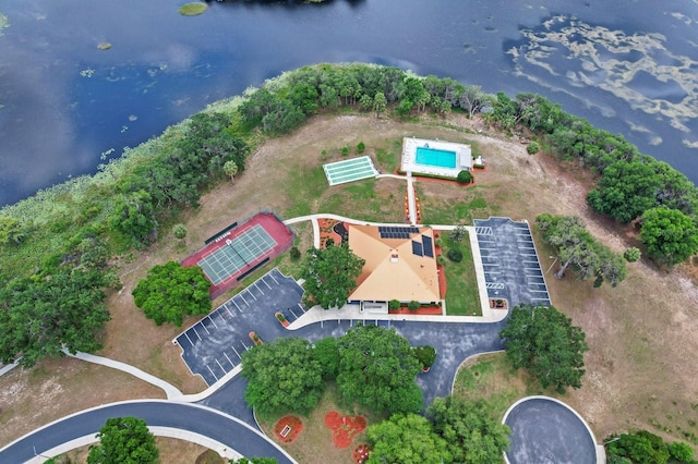 3773 E Lake Todd Dr, Hernando, FL 34442 - bird's eye view of a large body of water and a pool