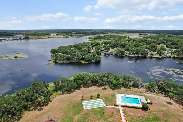 3773 E Lake Todd Dr, Hernando, FL 34442 - bird's eye view of a large body of water and a pool