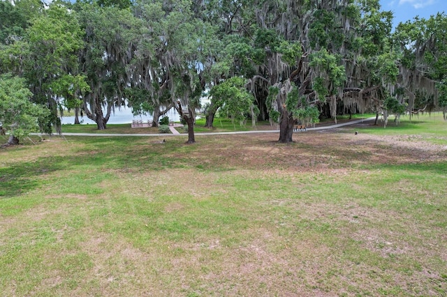 3773 E Lake Todd Dr, Hernando, FL 34442 - view of yard