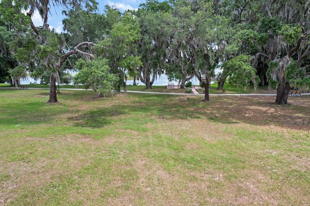 3773 E Lake Todd Dr, Hernando, FL 34442 - view of grassy yard