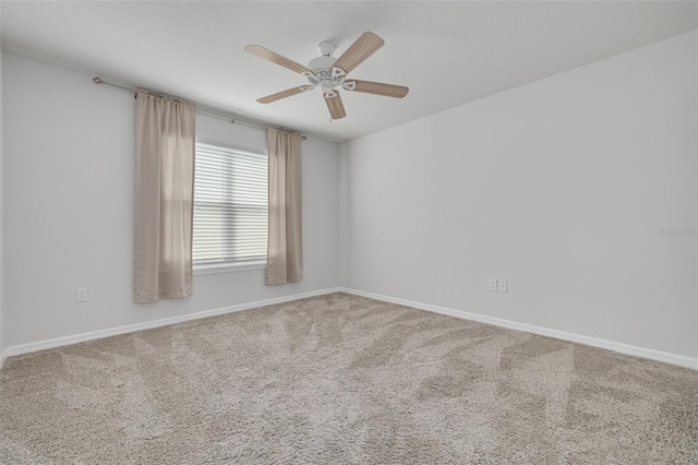 5041 Royal Palms Way Unit 203, New Port Richey, FL 34652 - empty room with a ceiling fan, carpet flooring, and baseboards