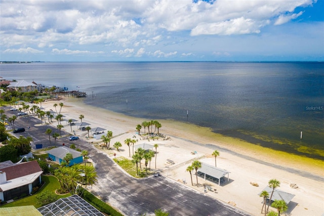 5041 Royal Palms Way Unit 203, New Port Richey, FL 34652 - bird's eye view of waterfront with a beach