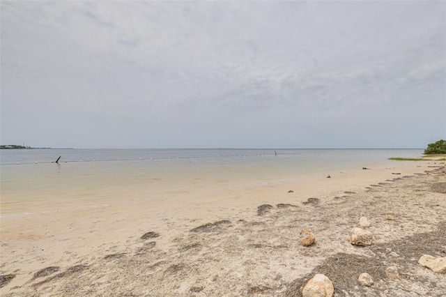 5041 Royal Palms Way Unit 203, New Port Richey, FL 34652 - water view