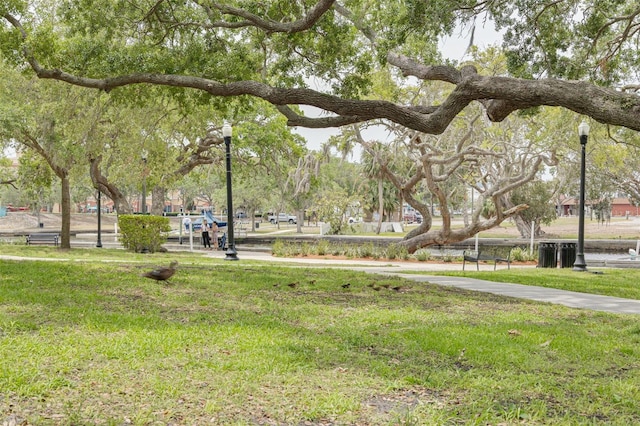 5041 Royal Palms Way Unit 203, New Port Richey, FL 34652 - view of community with a yard