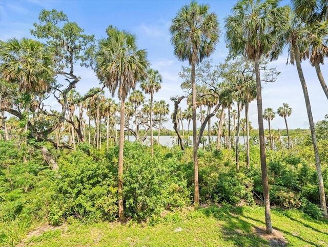 4740 Tuscan Loon Dr, Tampa, FL 33619 - photo 18