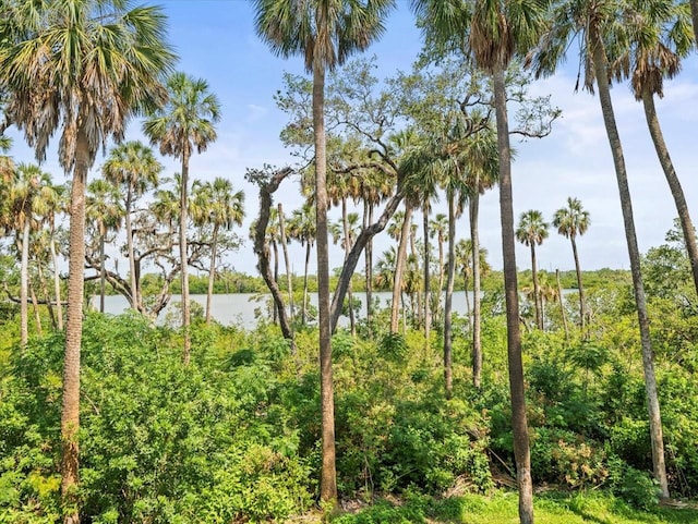 4740 Tuscan Loon Dr, Tampa, FL 33619 - photo 19