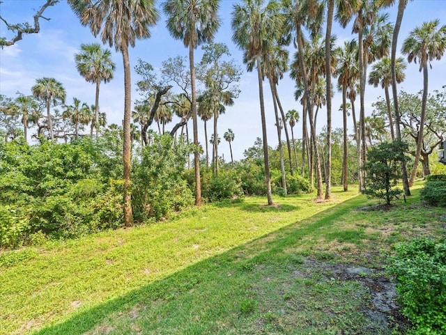 4740 Tuscan Loon Dr, Tampa, FL 33619 - photo 47