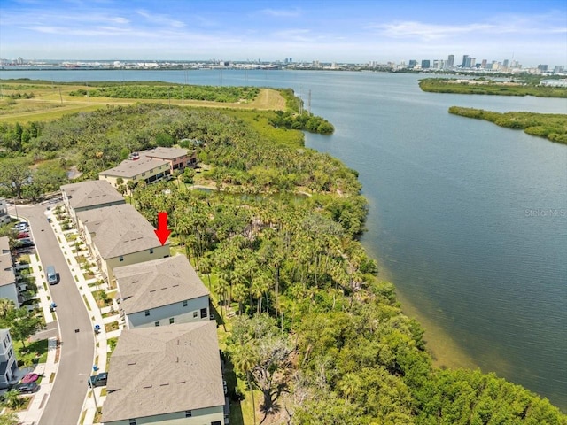 4740 Tuscan Loon Dr, Tampa, FL 33619 - photo 50