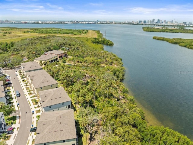 4740 Tuscan Loon Dr, Tampa, FL 33619 - photo 55