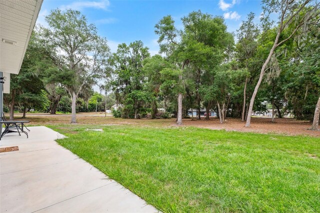 1161 Crk 443, Lake Panasoffkee, FL 33538 - view of grassy yard featuring view of wooded area