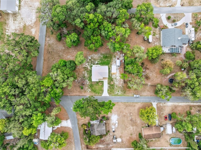 1161 Crk 443, Lake Panasoffkee, FL 33538 - aerial view of property and surrounding area