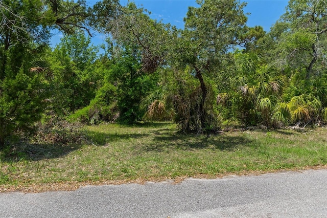 0 Blackbeard Ln, Hudson, FL 34667