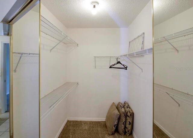 spacious closet with light carpet