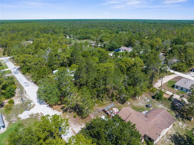 0 Carrie Way, Weeki Wachee, FL 34613