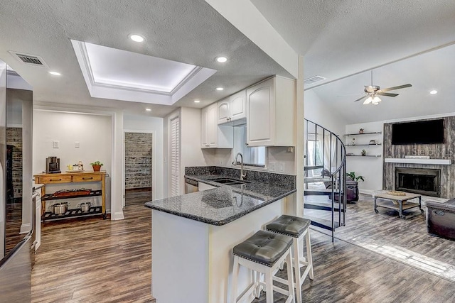10910 Winter Oak Pl, Tampa, FL 33618 - kitchen featuring a sink, dark wood-style flooring, baseboards, a textured ceiling, and recessed lighting