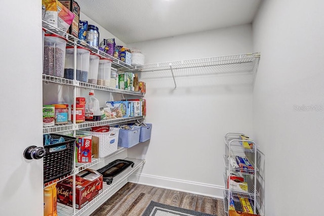 10910 Winter Oak Pl, Tampa, FL 33618 - view of pantry