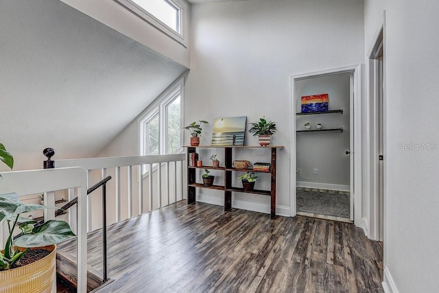 10910 Winter Oak Pl, Tampa, FL 33618 - corridor with wood finished floors, plenty of natural light, baseboards, an upstairs landing, and a high ceiling