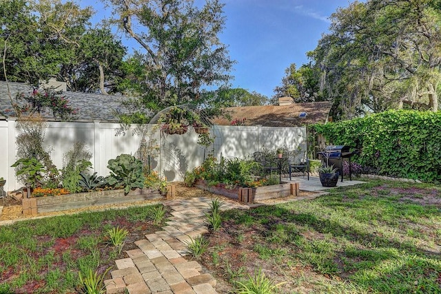 10910 Winter Oak Pl, Tampa, FL 33618 - fenced backyard featuring a patio