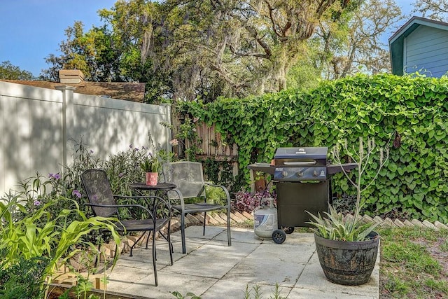 10910 Winter Oak Pl, Tampa, FL 33618 - view of patio with fence and grilling area