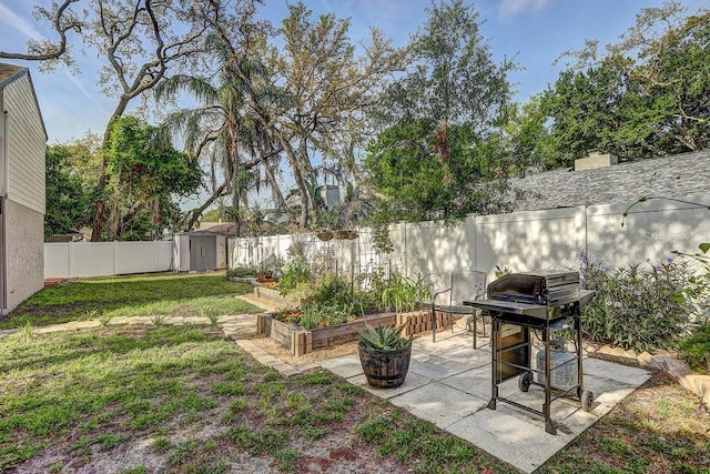 10910 Winter Oak Pl, Tampa, FL 33618 - view of yard with a storage shed, a patio, a garden, and an outbuilding