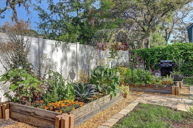 10910 Winter Oak Pl, Tampa, FL 33618 - fenced backyard featuring a garden