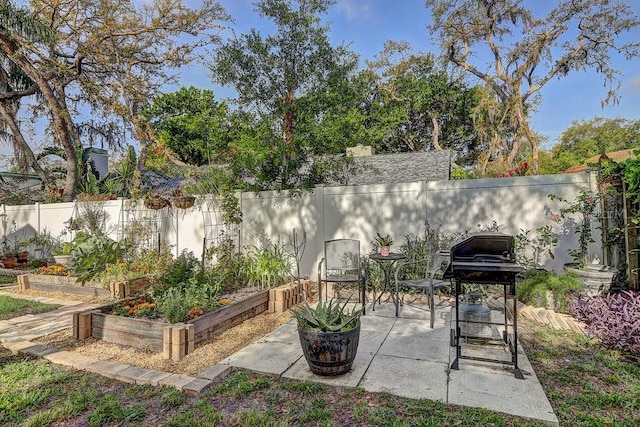 10910 Winter Oak Pl, Tampa, FL 33618 - view of patio with a fenced backyard and a vegetable garden