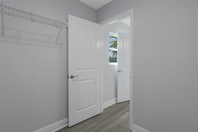 walk in closet featuring wood finished floors