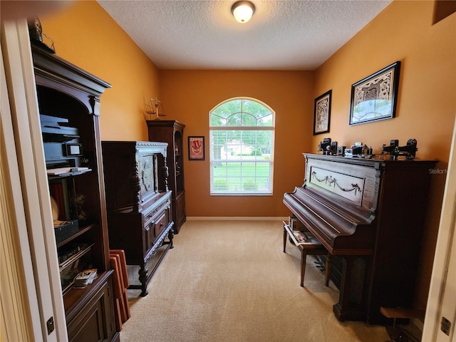 sitting room featuring light carpet, a textured ceiling, and baseboards