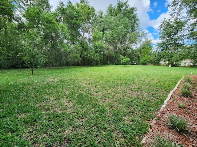 view of grassy yard