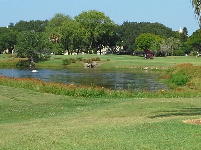 view of home's community featuring a water view and a lawn
