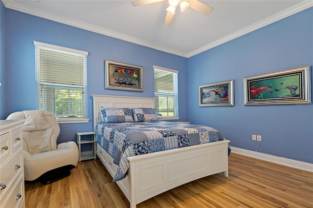 11401 Quiet Forest Dr, Tampa, FL 33635 - bedroom with multiple windows, light wood-type flooring, crown molding, ceiling fan, and baseboards