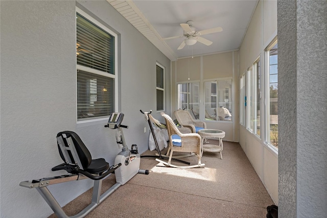 11401 Quiet Forest Dr, Tampa, FL 33635 - sunroom featuring a ceiling fan, carpet floors, and a textured wall