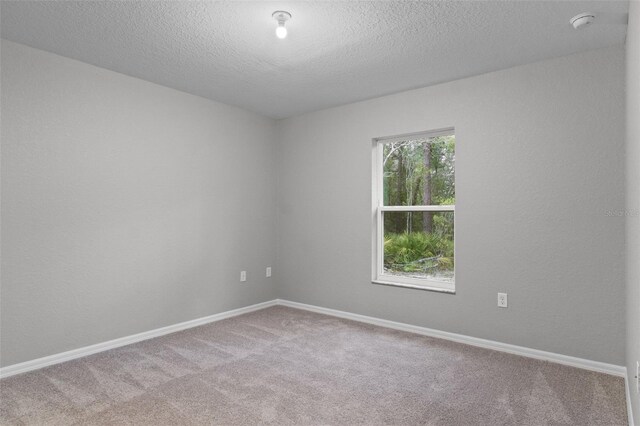 13 Cyclamen Ct E, Homosassa, FL 34446 - photo 41