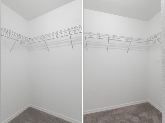 walk in closet featuring carpet flooring