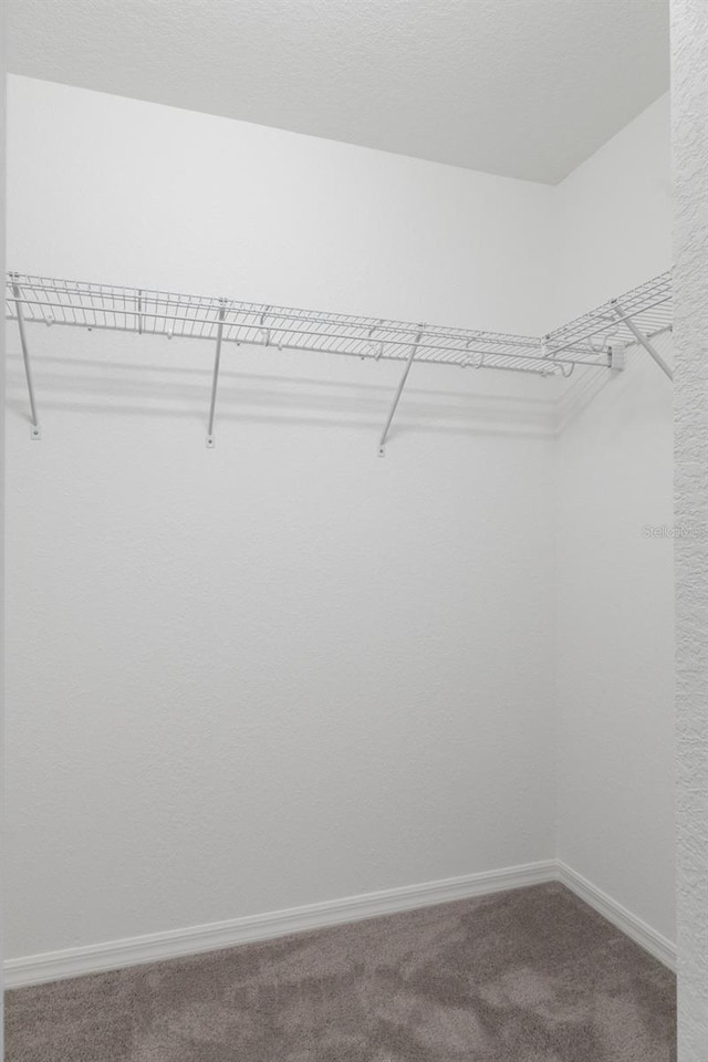 spacious closet with carpet floors