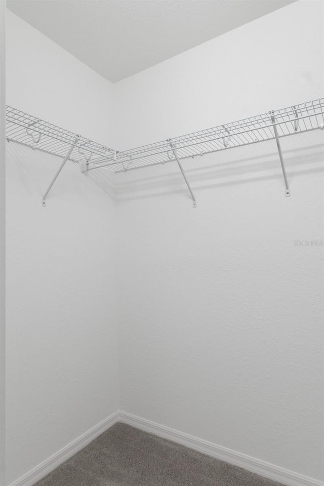 spacious closet featuring dark colored carpet