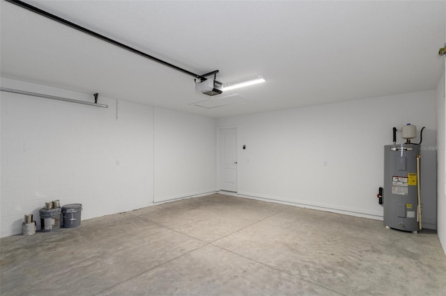 12192 Eskimo Curlew Rd, Weeki Wachee, FL 34614 - garage with water heater and a garage door opener