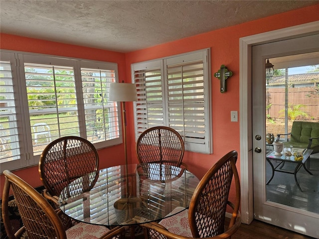 6339 Delaware Ave, New Port Richey, FL 34653 - dining room with healthy amount of natural light, wood finished floors, and a textured ceiling