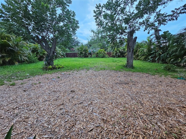 6339 Delaware Ave, New Port Richey, FL 34653 - view of yard