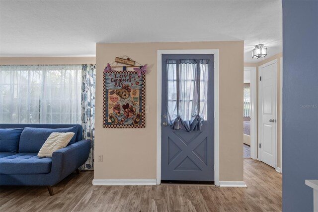 8021 Wildflower Row, Hudson, FL 34667 - entryway featuring wood finished floors and baseboards
