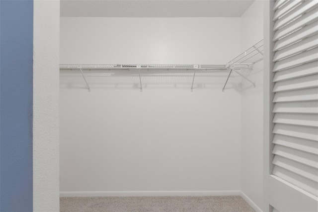 walk in closet featuring carpet