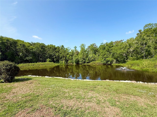 11631 Bayonet Ln, New Port Richey, FL 34654 - water view with a forest
