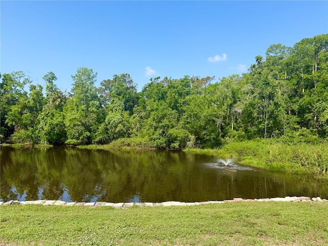 11631 Bayonet Ln, New Port Richey, FL 34654 - water view with a heavily wooded area