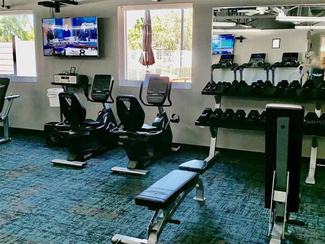 11631 Bayonet Ln, New Port Richey, FL 34654 - view of gym