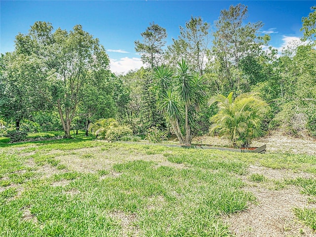 13003 Sandburst Ln, Hudson, FL 34667 - view of yard