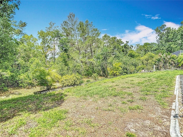 13003 Sandburst Ln, Hudson, FL 34667 - view of yard