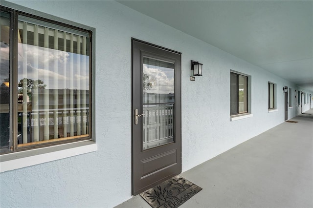 306 Martha Ln Unit 42, Oldsmar, FL 34677 - doorway to property featuring stucco siding
